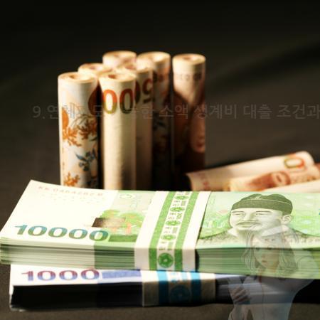 2.9.연체자도 가능한 소액 생계비 대출 조건과 신청 전 꼭 알아두셔야 할 기준