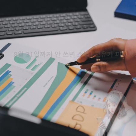5.8월 31일까지 안 쓰면 소멸! 고유가 피해지원금 사용기한 주의사항