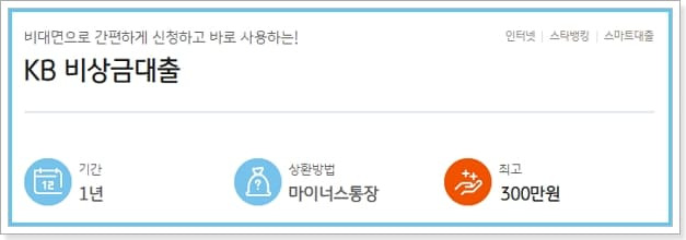 KB국민은행 개인사업자 소액비상금대출 신청자격, 한도, 이자, 상환수수료, 심사방식, 신용점수  서울보증보험 188 2