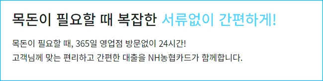 농협카드 장기카드대출 신청자격 조건, 한도, 이자율, 충족, 필요서류, 연체금리, 중도상환수수료, 신용점수 385 2