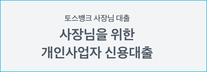 토스뱅크 사장님 마이너스통장 대출 개설 자격조건, 승인한도, 금리, 상환, 필요서류, 신용점수 541 2